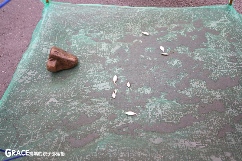 北部親子景點宜蘭-橫山頭休閒農業區-舊名蓮成觀光休閒農場-新名內城生態園區-大自然教室-DIY芋泥球-戶外野炊-網抓七彩魚-grace媽媽 (45).jpg
