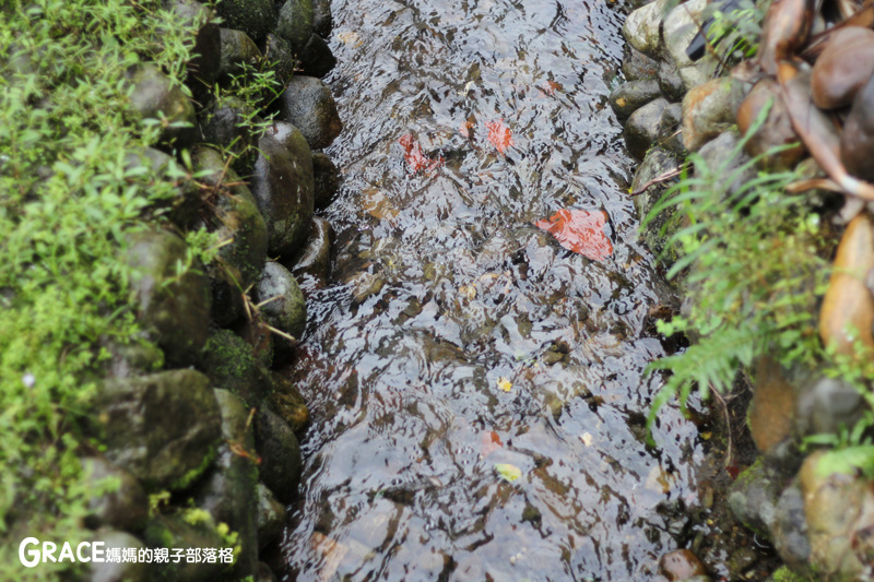 北部親子景點宜蘭-橫山頭休閒農業區-舊名蓮成觀光休閒農場-新名內城生態園區-大自然教室-DIY芋泥球-戶外野炊-網抓七彩魚-grace媽媽 (19).jpg