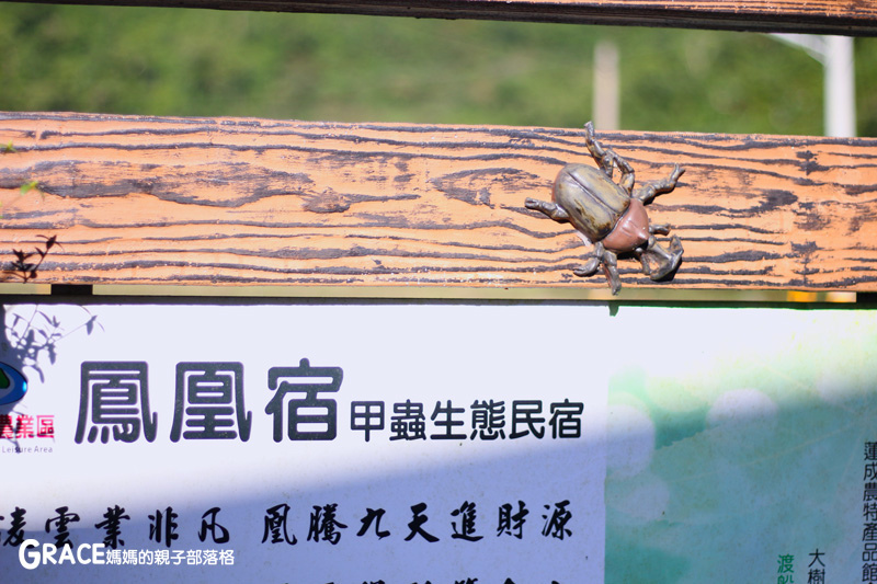 北部親子景點宜蘭-橫山頭休閒農業區-鳳凰宿甲蟲生態民宿-大自然教室-看甲蟲竹節蟲-生態導覽-夜宿小木屋-手作DIY檜木鑰匙圈-grace媽媽  (47).jpg
