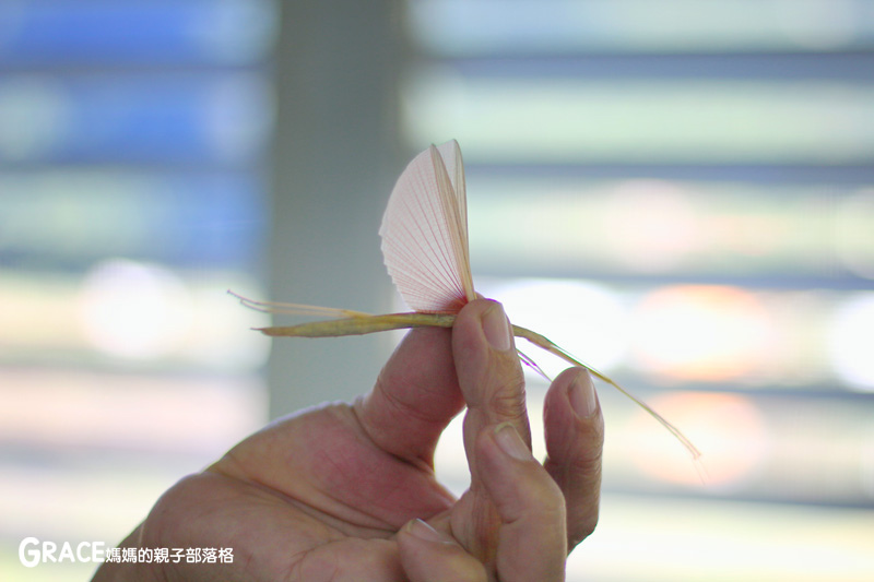 北部親子景點宜蘭-橫山頭休閒農業區-鳳凰宿甲蟲生態民宿-大自然教室-看甲蟲竹節蟲-生態導覽-夜宿小木屋-手作DIY檜木鑰匙圈-grace媽媽  (48).jpg