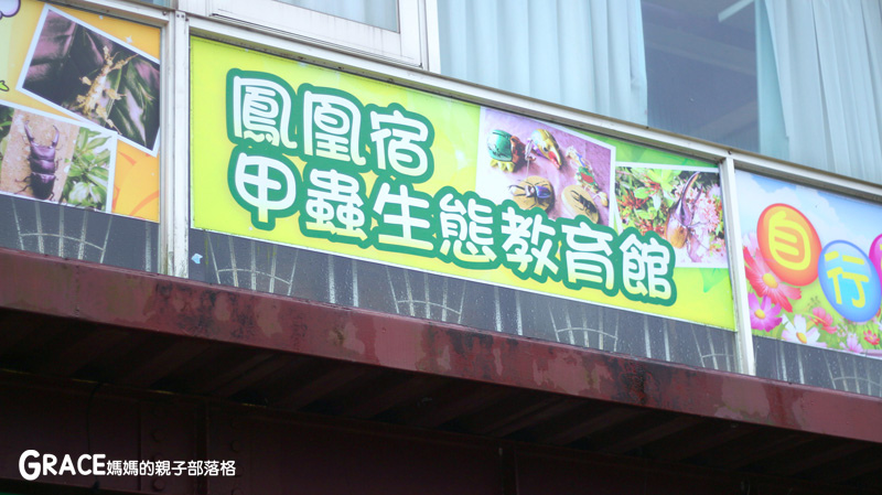 北部親子景點宜蘭-橫山頭休閒農業區-鳳凰宿甲蟲生態民宿-大自然教室-看甲蟲竹節蟲-生態導覽-夜宿小木屋-手作DIY檜木鑰匙圈-grace媽媽  (19).jpg