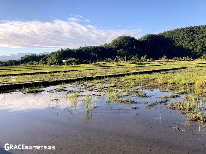 北部親子景點宜蘭-橫山頭休閒農業區-鳳凰宿甲蟲生態民宿-大自然教室-看甲蟲竹節蟲-生態導覽-夜宿小木屋-手作DIY檜木鑰匙圈-grace媽媽  (4).jpg
