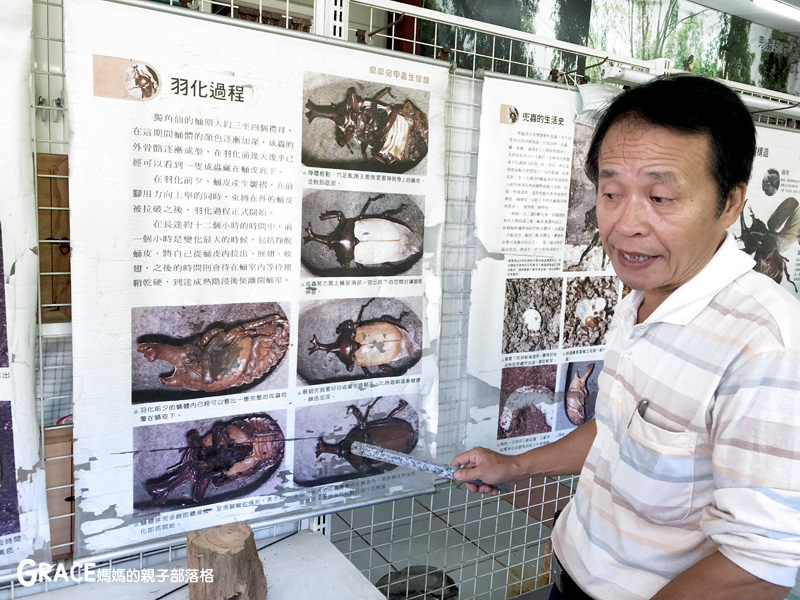 北部親子景點宜蘭-橫山頭休閒農業區-鳳凰宿甲蟲生態民宿-大自然教室-看甲蟲竹節蟲-生態導覽-夜宿小木屋-手作DIY檜木鑰匙圈-grace媽媽  (9).jpg