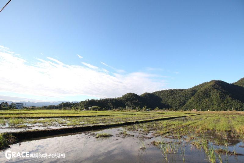 北部親子景點宜蘭-橫山頭休閒農業區-鳳凰宿甲蟲生態民宿-大自然教室-看甲蟲竹節蟲-生態導覽-夜宿小木屋-手作DIY檜木鑰匙圈-grace媽媽  (37).jpg
