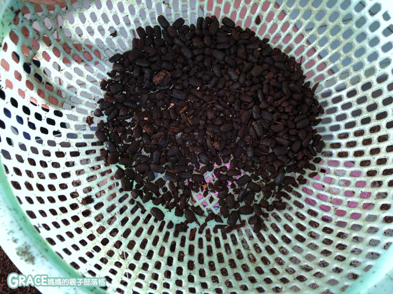 北部親子景點宜蘭-橫山頭休閒農業區-鳳凰宿甲蟲生態民宿-大自然教室-看甲蟲竹節蟲-生態導覽-夜宿小木屋-手作DIY檜木鑰匙圈-grace媽媽  (7).jpg