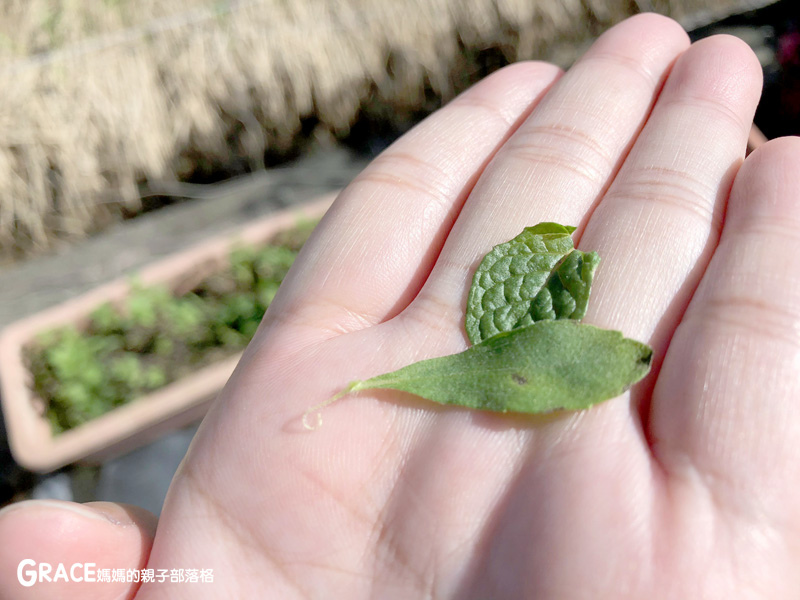 北部親子景點宜蘭-橫山頭休閒農業區-橫山頭食農2日遊-蘭城花事休閒農場-全天行程-園區生態導覽-網撈無郭魚-漂流木花藝DIY-4人以上可以野炊焢窯烤雞烤地瓜-有機花草茶-grace媽媽 (7).jpg 北部親子景點宜蘭-橫山頭休閒農業區-橫山頭食農2日遊-蘭城花事休閒農場-全天行程-園區生態導覽-網撈無郭魚-漂流木花藝DIY-4人以上可以野炊焢窯烤雞烤地瓜-有機花草茶-grace媽媽 (7).jpg