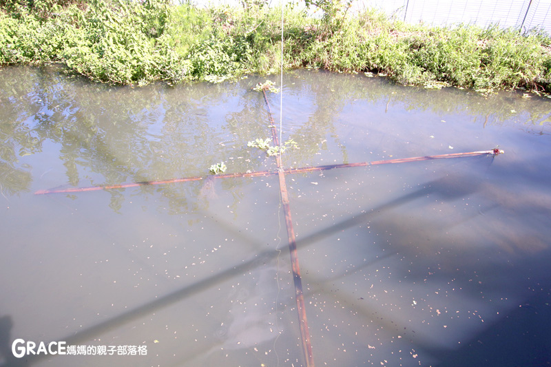 北部親子景點宜蘭-橫山頭休閒農業區-橫山頭食農2日遊-蘭城花事休閒農場-全天行程-園區生態導覽-網撈無郭魚-漂流木花藝DIY-4人以上可以野炊焢窯烤雞烤地瓜-有機花草茶-grace媽媽 (34).jpg 北部親子景點宜蘭-橫山頭休閒農業區-橫山頭食農2日遊-蘭城花事休閒農場-全天行程-園區生態導覽-網撈無郭魚-漂流木花藝DIY-4人以上可以野炊焢窯烤雞烤地瓜-有機花草茶-grace媽媽 (34).jpg