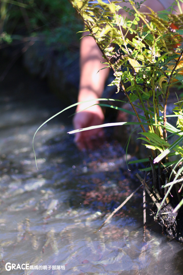 北部親子景點宜蘭-橫山頭休閒農業區-橫山頭食農2日遊-蘭城花事休閒農場-全天行程-園區生態導覽-網撈無郭魚-漂流木花藝DIY-4人以上可以野炊焢窯烤雞烤地瓜-有機花草茶-grace媽媽 (31).jpg 北部親子景點宜蘭-橫山頭休閒農業區-橫山頭食農2日遊-蘭城花事休閒農場-全天行程-園區生態導覽-網撈無郭魚-漂流木花藝DIY-4人以上可以野炊焢窯烤雞烤地瓜-有機花草茶-grace媽媽 (31).jpg