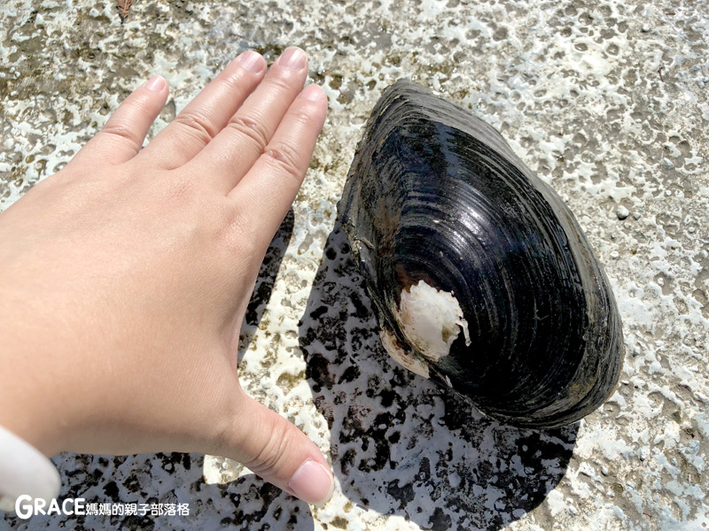 北部親子景點宜蘭-橫山頭休閒農業區-橫山頭食農2日遊-蘭城花事休閒農場-全天行程-園區生態導覽-網撈無郭魚-漂流木花藝DIY-4人以上可以野炊焢窯烤雞烤地瓜-有機花草茶-grace媽媽 (42).jpg 北部親子景點宜蘭-橫山頭休閒農業區-橫山頭食農2日遊-蘭城花事休閒農場-全天行程-園區生態導覽-網撈無郭魚-漂流木花藝DIY-4人以上可以野炊焢窯烤雞烤地瓜-有機花草茶-grace媽媽 (42).jpg