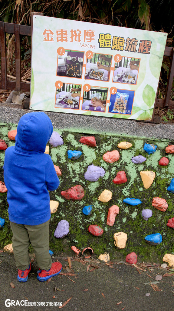 北部親子景點宜蘭-橫山頭休閒農業區-橫山頭農村再生2日遊-太陽埤果園看風景-香草菲菲-果園採金棗- DIY作金棗蜜餞-吃飯太陽湖畔咖啡館小火鍋-grace媽媽 (46).jpg