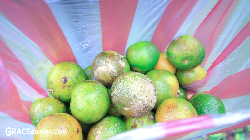 北部親子景點宜蘭-橫山頭休閒農業區-橫山頭農村再生2日遊-太陽埤果園看風景-香草菲菲-果園採金棗- DIY作金棗蜜餞-吃飯太陽湖畔咖啡館小火鍋-grace媽媽 (41).jpg