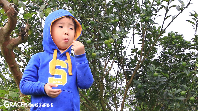 北部親子景點宜蘭-橫山頭休閒農業區-橫山頭農村再生2日遊-太陽埤果園看風景-香草菲菲-果園採金棗- DIY作金棗蜜餞-吃飯太陽湖畔咖啡館小火鍋-grace媽媽 (2).jpg