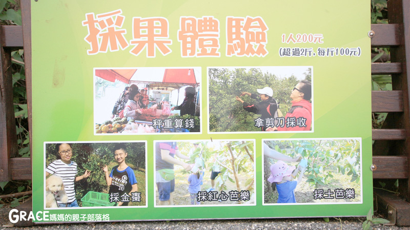 北部親子景點宜蘭-橫山頭休閒農業區-橫山頭農村再生2日遊-太陽埤果園看風景-香草菲菲-果園採金棗- DIY作金棗蜜餞-吃飯太陽湖畔咖啡館小火鍋-grace媽媽 (50).jpg