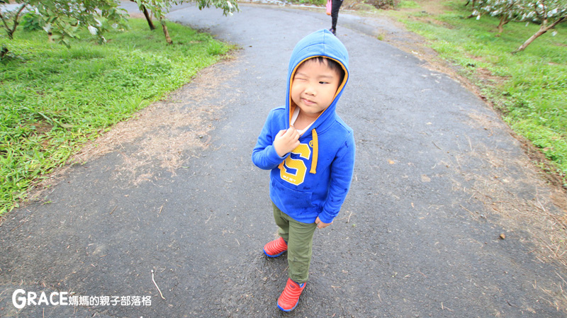 北部親子景點宜蘭-橫山頭休閒農業區-橫山頭農村再生2日遊-太陽埤果園看風景-香草菲菲-果園採金棗- DIY作金棗蜜餞-吃飯太陽湖畔咖啡館小火鍋-grace媽媽 (38).jpg