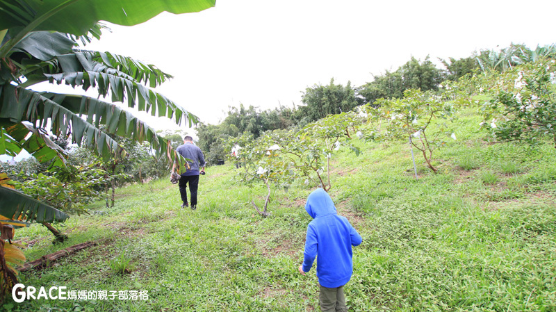 北部親子景點宜蘭-橫山頭休閒農業區-橫山頭農村再生2日遊-太陽埤果園看風景-香草菲菲-果園採金棗- DIY作金棗蜜餞-吃飯太陽湖畔咖啡館小火鍋-grace媽媽 (29).jpg