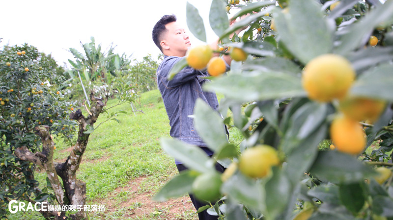 北部親子景點宜蘭-橫山頭休閒農業區-橫山頭農村再生2日遊-太陽埤果園看風景-香草菲菲-果園採金棗- DIY作金棗蜜餞-吃飯太陽湖畔咖啡館小火鍋-grace媽媽 (34).jpg