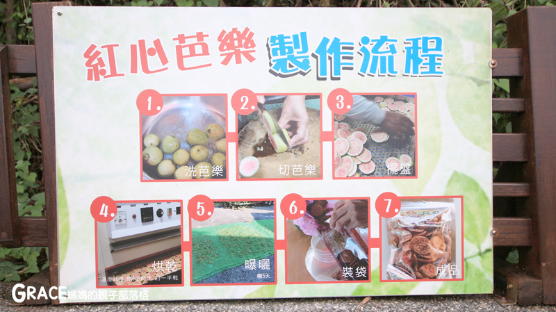 北部親子景點宜蘭-橫山頭休閒農業區-橫山頭農村再生2日遊-太陽埤果園看風景-香草菲菲-果園採金棗- DIY作金棗蜜餞-吃飯太陽湖畔咖啡館小火鍋-grace媽媽 (49).jpg