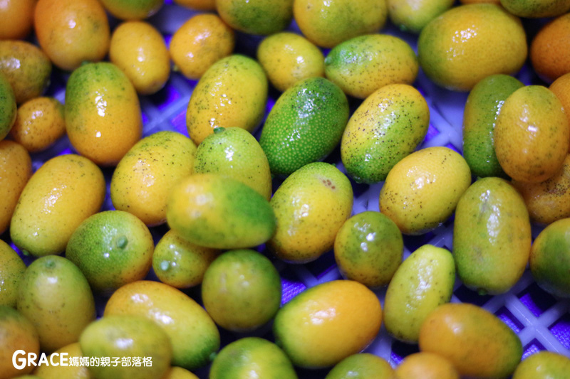 北部親子景點宜蘭-橫山頭休閒農業區-橫山頭農村再生2日遊-太陽埤果園看風景-香草菲菲-果園採金棗- DIY作金棗蜜餞-吃飯太陽湖畔咖啡館小火鍋-grace媽媽 (63).jpg