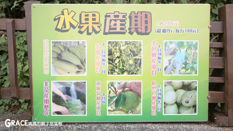 北部親子景點宜蘭-橫山頭休閒農業區-橫山頭農村再生2日遊-太陽埤果園看風景-香草菲菲-果園採金棗- DIY作金棗蜜餞-吃飯太陽湖畔咖啡館小火鍋-grace媽媽 (51).jpg