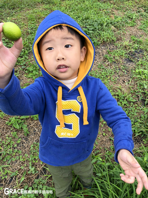 北部親子景點宜蘭-橫山頭休閒農業區-橫山頭農村再生2日遊-太陽埤果園看風景-香草菲菲-果園採金棗- DIY作金棗蜜餞-吃飯太陽湖畔咖啡館小火鍋-grace媽媽 (6).jpg