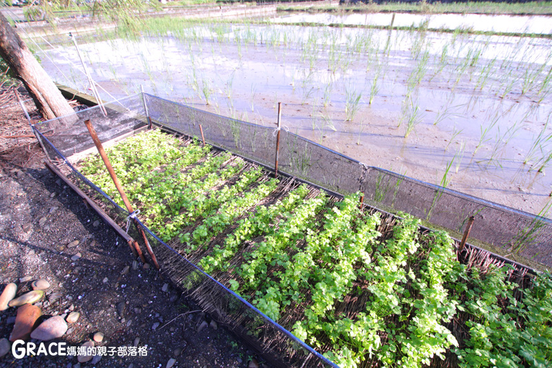 北部親子景點宜蘭-橫山頭休閒農業區-橫山頭農村再生2日遊-住宿宜蘭民宿推薦-鄉間雅築-三合院式建築-有烤肉區-腳踏車租借-提供早餐-grace媽媽 (2).jpg