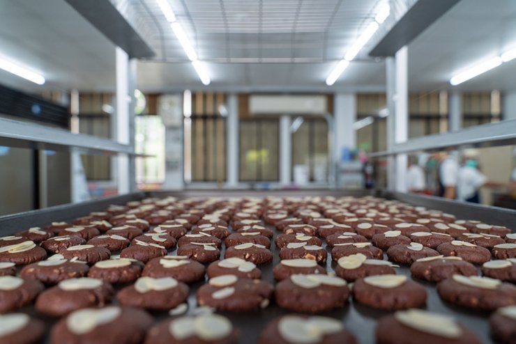 深度農村小旅行 鐵牛力阿卡帶你遊內城