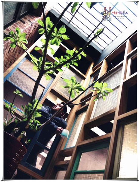 文青店,桃園美食,中壢美食,輕食,早午餐,毛璃,軟法