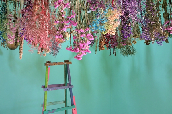 花田村文創聚落:【彰化田尾景點】花田村文創聚落~小小兵閱讀室,彩虹木梯、乾燥花牆造景美拍