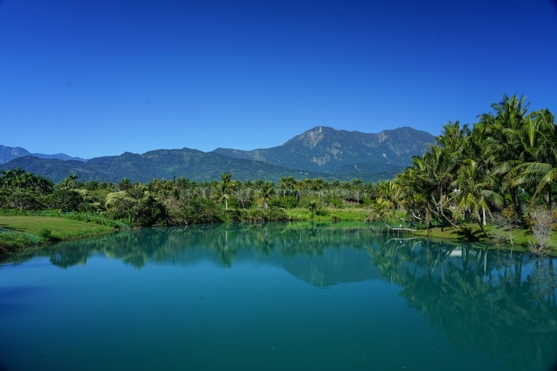 跳躍的宅男 - [20181203]花蓮壽豐雲山水-落羽松美景現況直播 冬遊夢幻湖 靜謐的氣息令人久久不願離去