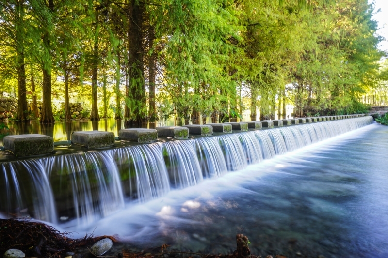 跳躍的宅男 - [20181203]花蓮壽豐雲山水-落羽松美景現況直播 冬遊夢幻湖 靜謐的氣息令人久久不願離去