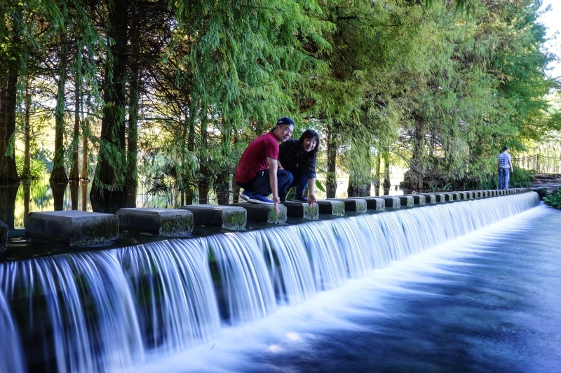 跳躍的宅男 - [20181203]花蓮壽豐雲山水-落羽松美景現況直播 冬遊夢幻湖 靜謐的氣息令人久久不願離去