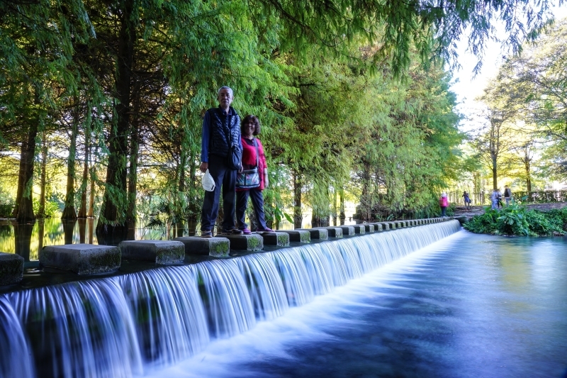 跳躍的宅男 - [20181203]花蓮壽豐雲山水-落羽松美景現況直播 冬遊夢幻湖 靜謐的氣息令人久久不願離去