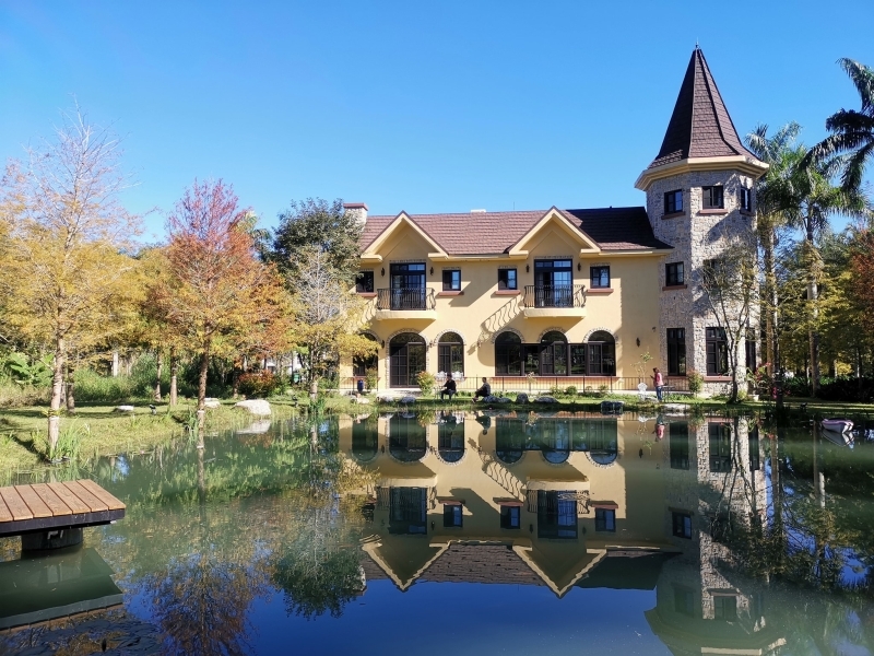 跳躍的宅男 - [20181203]花蓮壽豐雲山水-落羽松美景現況直播 冬遊夢幻湖 靜謐的氣息令人久久不願離去