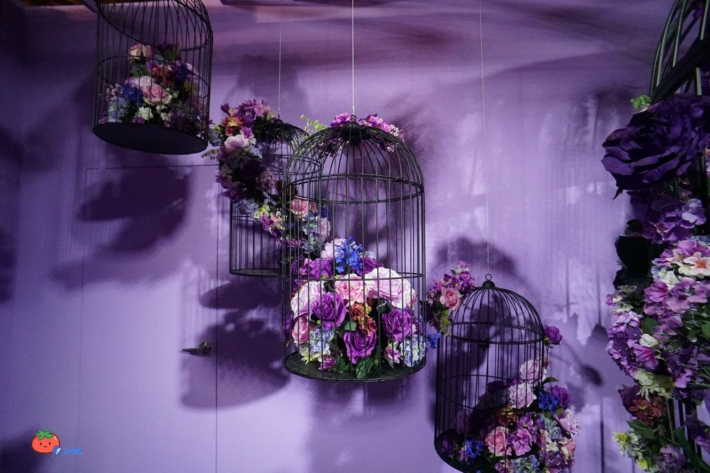 太好拍！IG網美2018必備 色廊展 Color Gallery 打卡勝地 含門票營業時間資訊