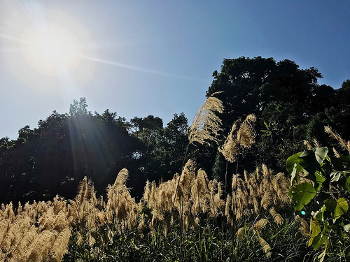 新田登山步道_23