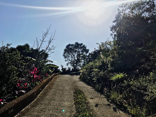新田登山步道_8