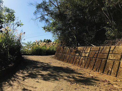 新田登山步道_2
