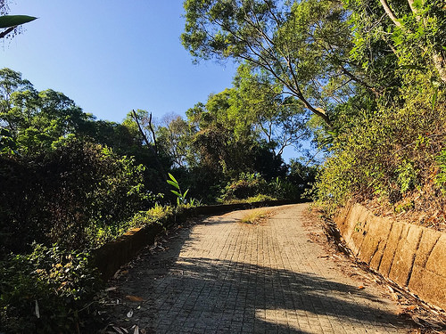 新田登山步道_17