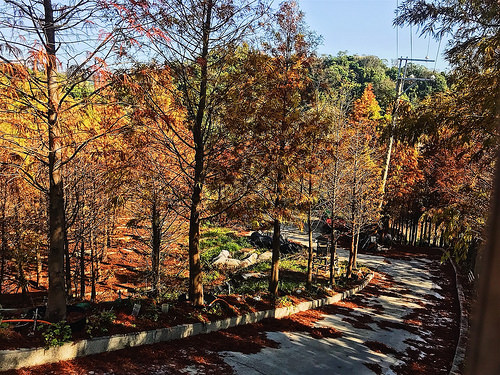 新田登山步道_33
