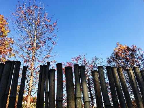 新田登山步道_14