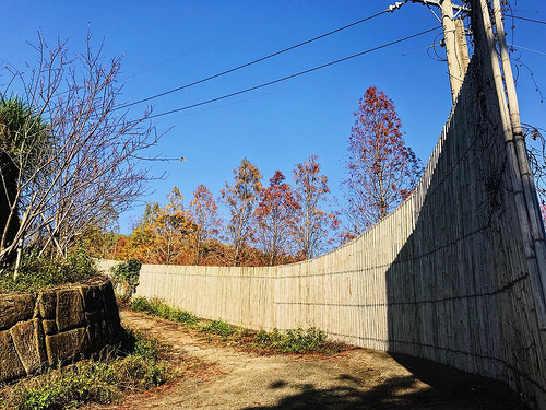 新田登山步道_16