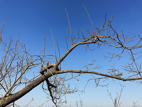 新田登山步道_10