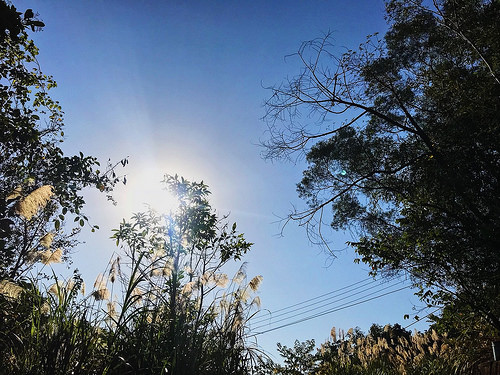 新田登山步道_20