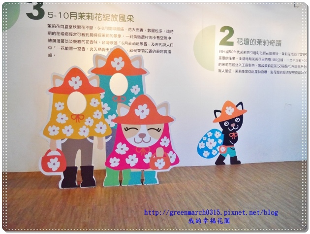 P9100099 (620x465).jpg