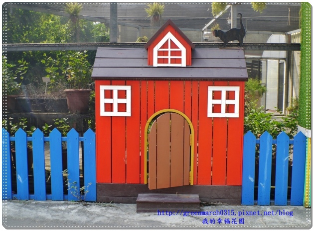 P9100170 (620x455).jpg