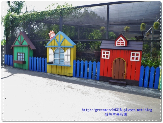 P9100169 (620x465).jpg