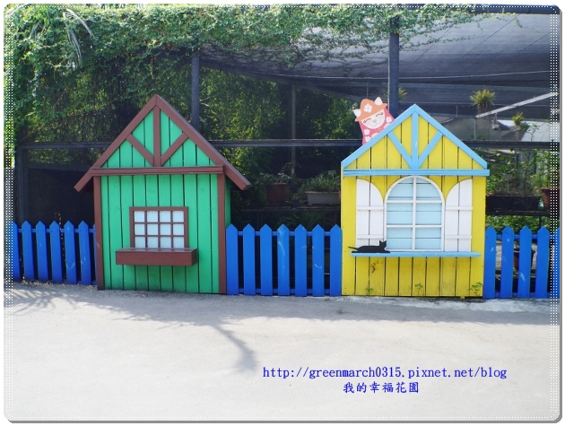 P9100171 (620x465).jpg