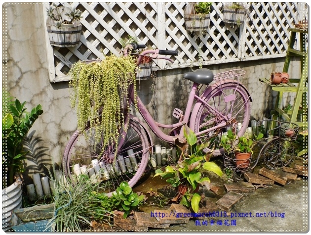 P9100168 (620x465).jpg