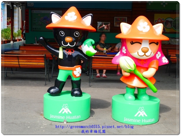 P9100083 (620x465).jpg