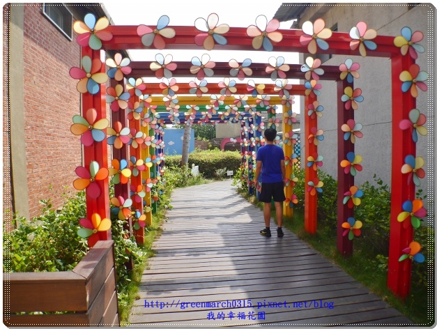 P9100162 (620x465).jpg